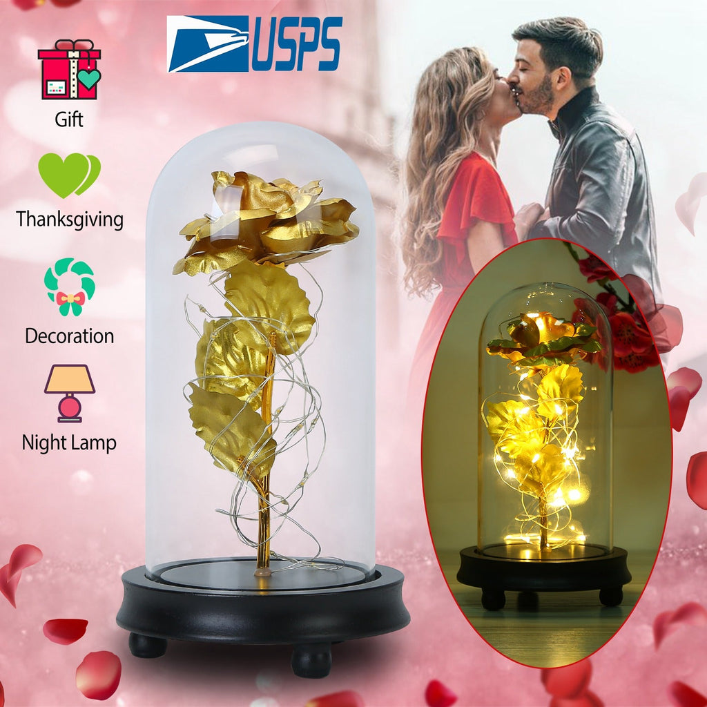 Enchanted Rose LED Lamp in Glass Dome