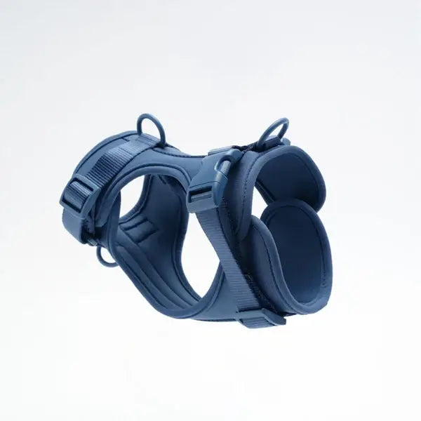 AdventurePro Dog Harness | Shady Blue