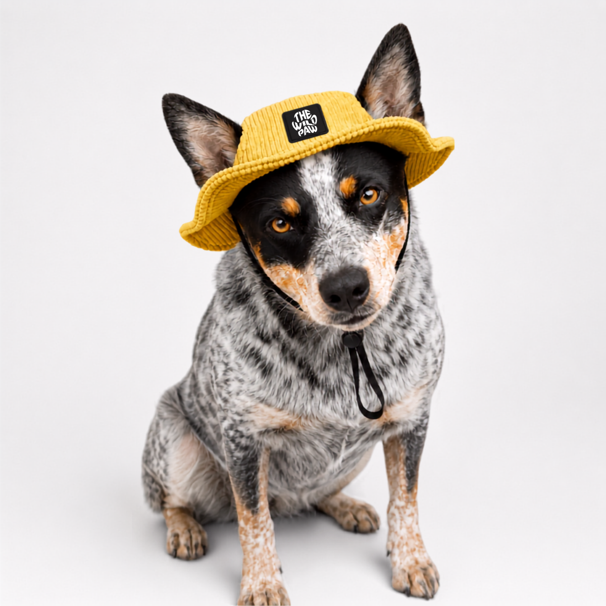 The WildFisher Hat | Yellow