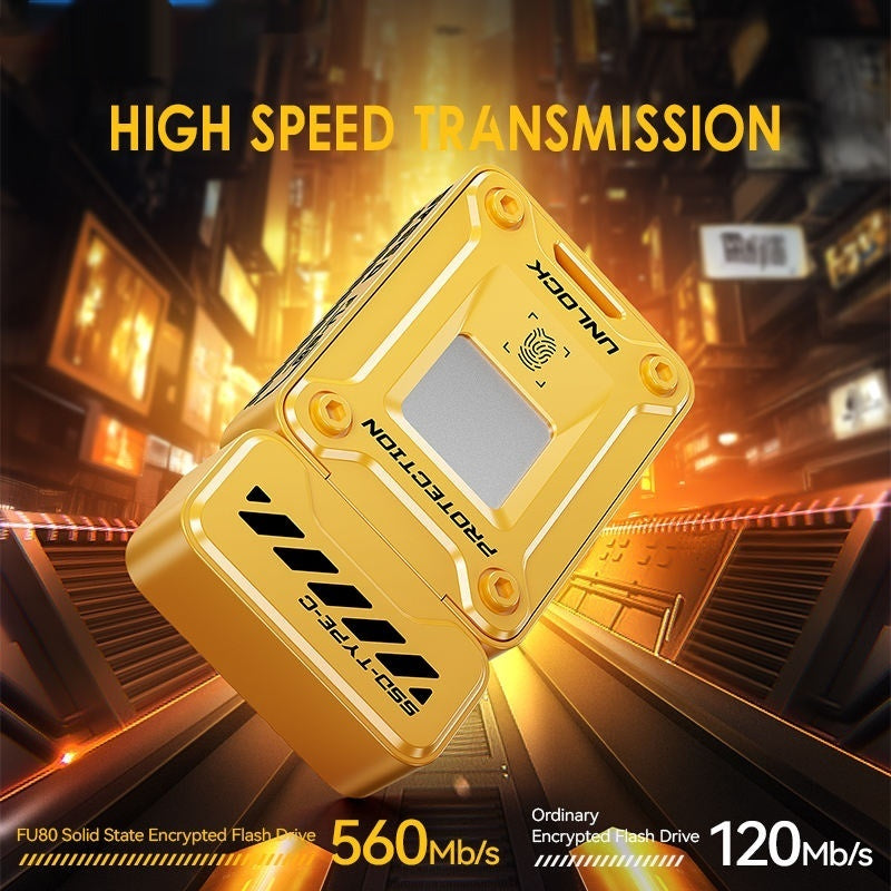 Fingerprint Encryption Luxury USB Drive