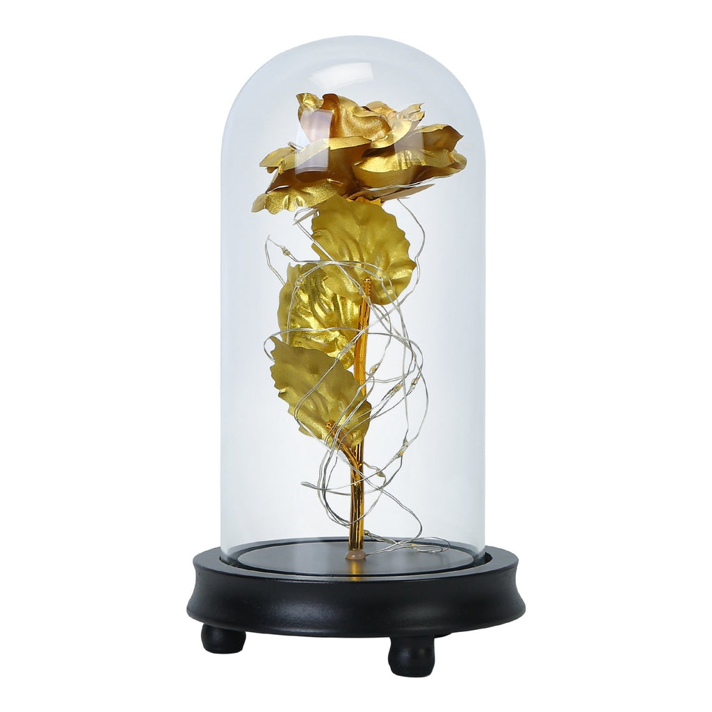 Enchanted rose LED lamp in glass dome